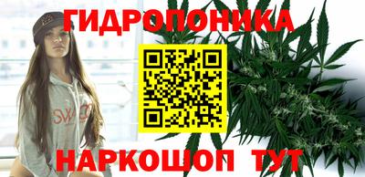 СК Гусь-Хрустальный