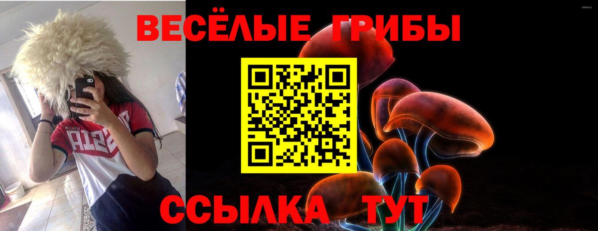 Иваново  Галлюциногенные грибы Magic Shrooms  Вход с VPN  Галлюциногенные грибы мицелий 
