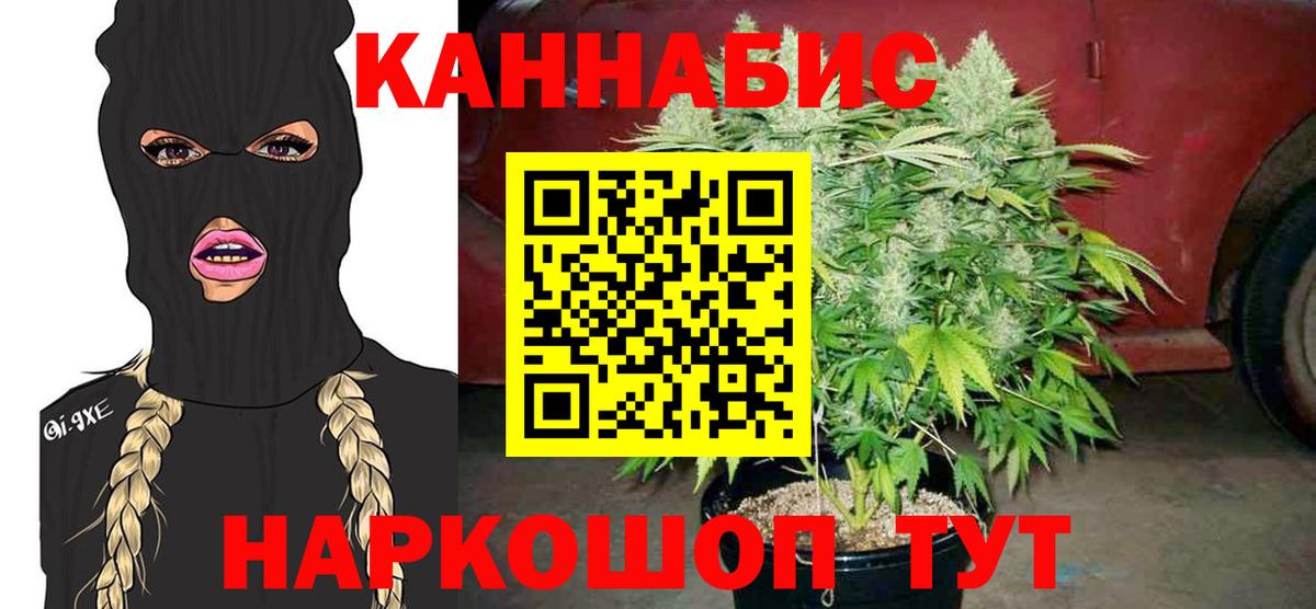 МАРИХУАНА конопля  Вход с VPN  Бошки марихуана OG Kush  Иваново  Марихуана план  Бошки марихуана SATIVA & INDICA 